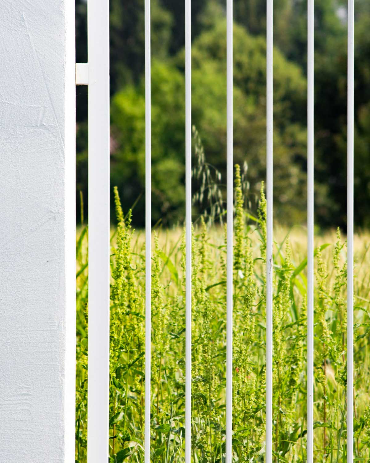 La Corte del Commiato - Megliadino San Fidenzio - Mirco Simonato - Studio di architettura